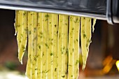 Homemade herb tagliatelle in a pasta machine