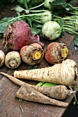 Various root vegetables and kohlrabi on a wooden table