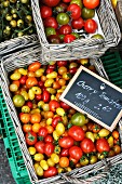 Various tomatoes at a market