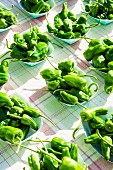 Green peppers in paper dishes at a market