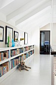 Bücherregal im niedrigen Kniestockbereich eines Galeriegangs, davor ein liegender Hund