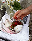 Picknickkorb mit Erdbeeren und Zitronengraslimonade auf einem Fahrrad