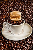 Mokka-Macaron liegt auf Tasse mit Kaffeebohnen