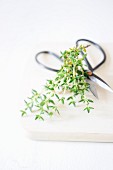 Thyme and a pair of kitchen scissors