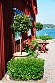Sitzplatz und Grünpflanzen auf Kiesplatz vor einem roten, schwedischen Holzhaus am Meer