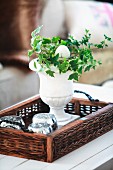 Stone urn of ivy and egg ornament on tray with wicker edge