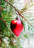 Red, heart-shaped bauble hanging from pine branch