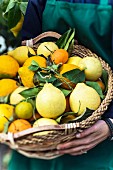 A basket of citrus fruits