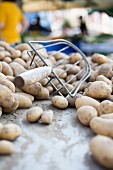 Potatoes at a market