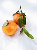 Two tangerines with leaves on a white surface