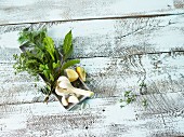 An arrangement of garlic, herbs and lemons
