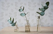 Sprigs of leaves in small, vintage glass bottles against wall with delicate pattern of leaves