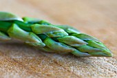 A close-up of a green asparagus tip