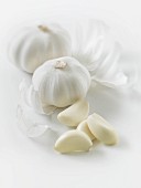 Garlic.