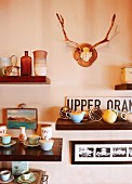 Vintage arrangement of pastel, 50s crockery on wooden shelves, antlers and pictures on wall