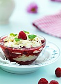 Raspberry purée with white chocolate cream