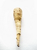 A parsnip on a white surface