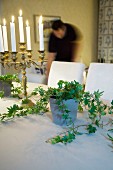 Lit candles in candelabra and house plant on table