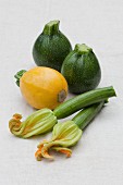 Round green and yellow courgettes and long courgettes with flowers