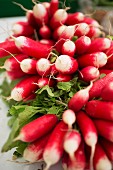 Radishes on a market stand