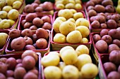 Rote und gelbe Kartoffeln in Spankörben auf dem Markt
