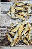 Fish on newspaper at a market in Margao, Goa, India