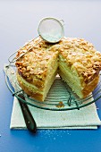 Bienenstich (caramelised almond cake) made with honey and vanilla pudding