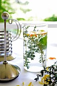 Herb tea with thyme