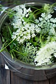 Wild carrot flowers in a pot (ingredient for smoothies)