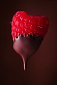 A raspberry dipped in chocolate glaze