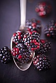 Blackberries on a spoon