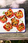 Grilled peppers stuffed with tomato salad