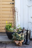 Spring arrangement of pussy willow and narcissus in planter with handles, hellebore wrapped in paper and pair of wellingtons