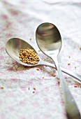 Sesame seeds on a spoon