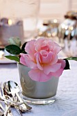 Pink rose in glass container on table