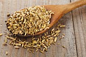 Dried fennel seeds on a wooden spoon