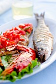 Grigliata Mista fish platter with grilled sea bass, prawns, swordfish and sepia (Italy)
