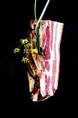 Pancetta hanging on a butcher's hook with fresh Italian herbs