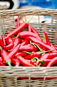 Fresh red chilli peppers in a wicker basket