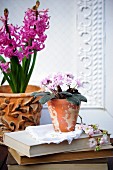 Potted hyacinths & African violets