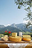 A cheese platter from Salzburg, Austria (Schmierkäse, Bergkäse, Almkönig and Bierkäse)