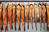 Geräucherte Seesaiblinge aus dem Ausseerland (Steiermark, Österreich)