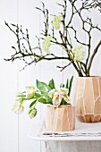 Verblühter Magnolienzweig, Schneeballblüten und Papageientulpen in Vasen aus Mangoholz