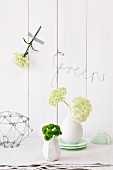 Kleine Chrysanthemen und Schneeball in Vasen, Nelkenblüte mit Tape an der Wand und Drahtschriftzug 'Green'