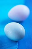 Two duck eggs on a blue surface