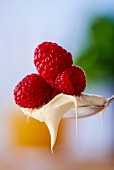 A spoonful of clotted cream with fresh raspberries