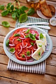 Tomato salad with onions, basil and mozzarella