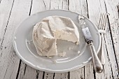 Ricotta on a white plate with a knife