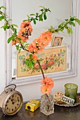 Branch of salmon pink flowering quince (Chaenomeles) in small crystal vase in front of mirror decorated with nostalgic postcards and various vintage objects on metal cabinet