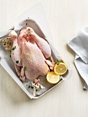 Chicken with garlic, lemons and herbs on a baking tray